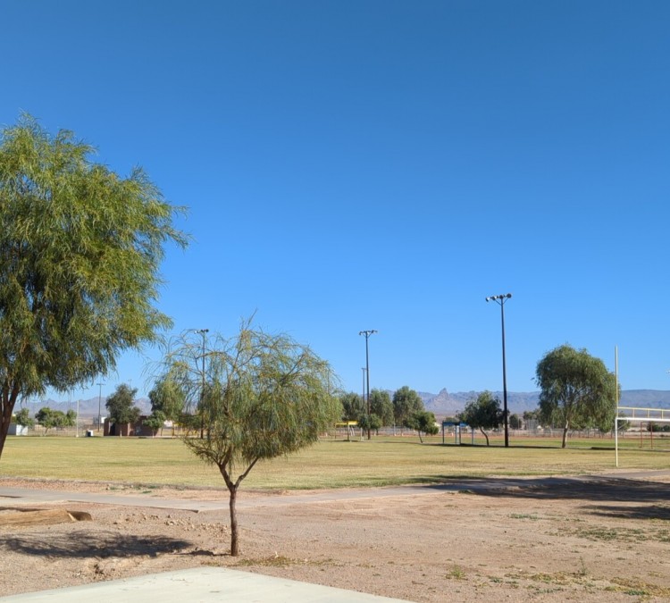 mohave-valley-community-park-photo